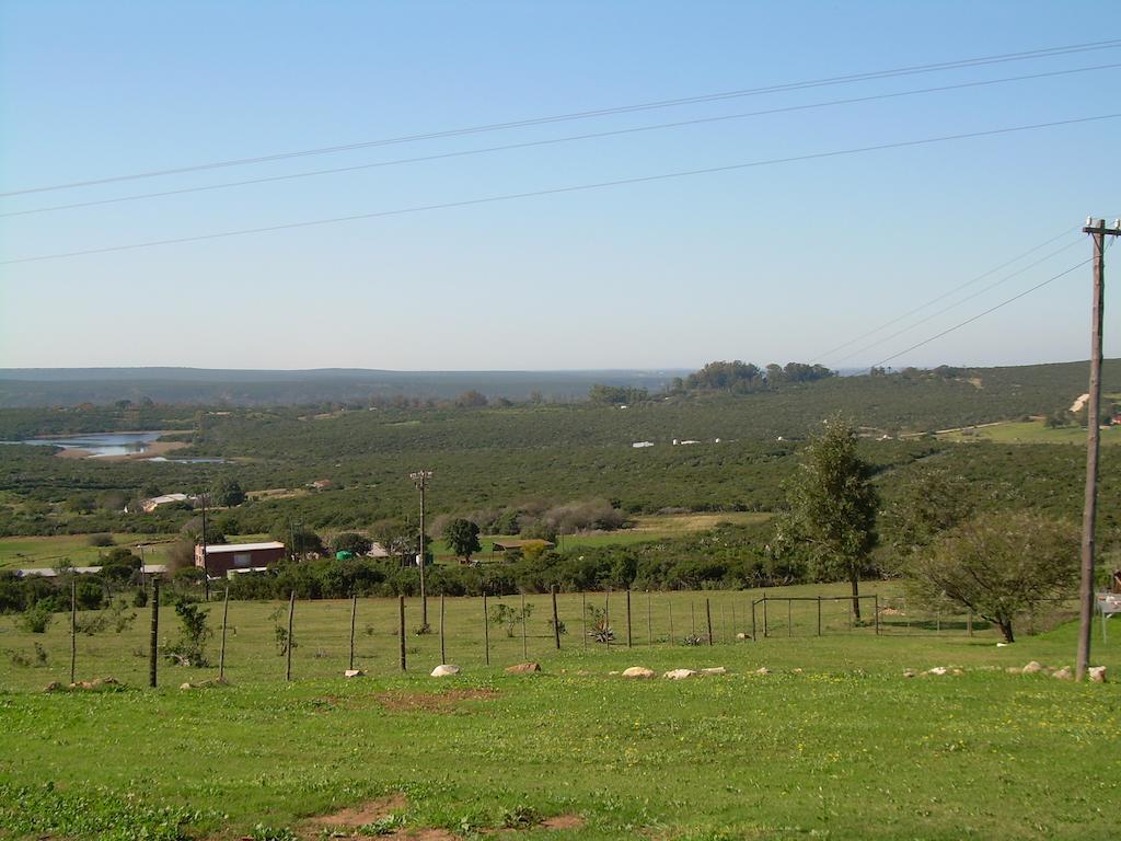 The Hexagon Wildlife Conservation Hotel Uitenhage Buitenkant foto